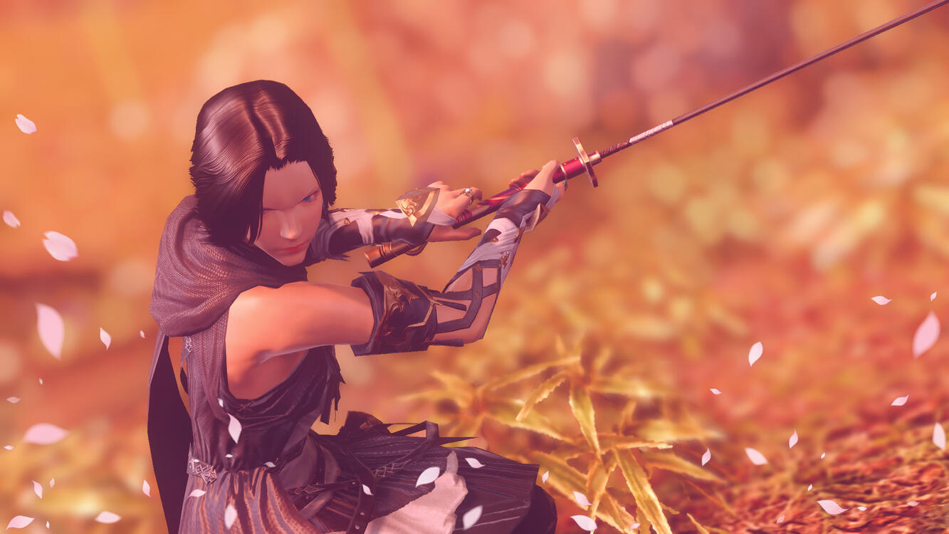 Sakura Sakura